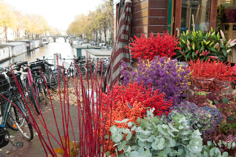 Amsterdam Flower stand on the Amstel || « Vine and the Olive »
