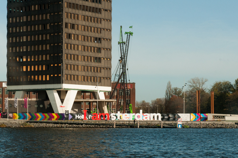 I amsterdam || « Vine and the Olive »