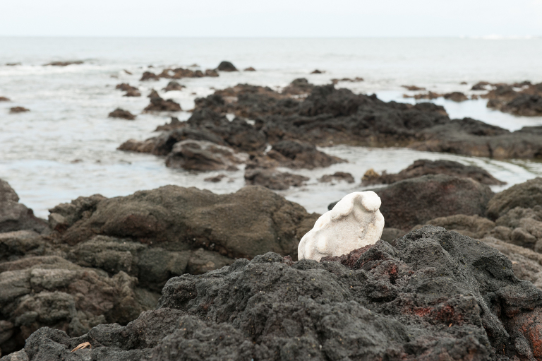 Hawaiian black and white Vine and the Olive