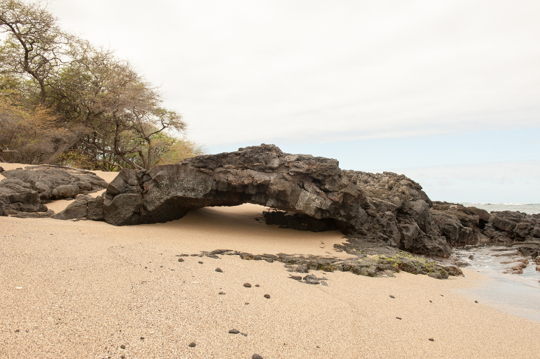 Hawaiian rock formation Vine and the Olive