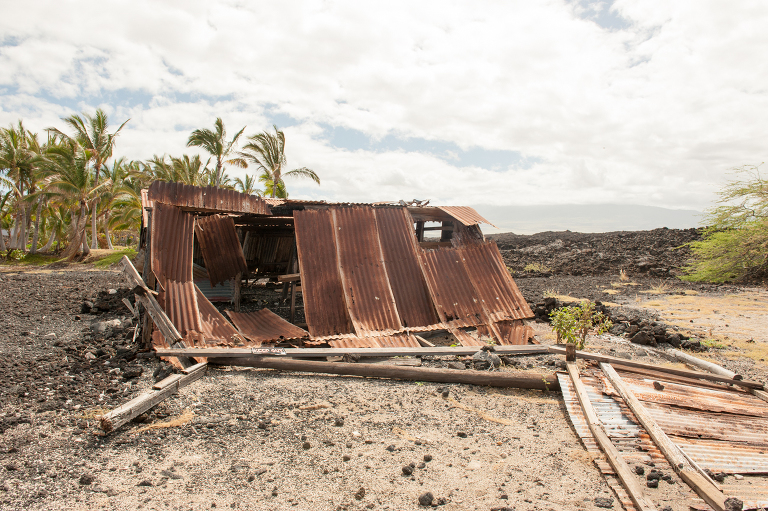 Ruins Vine and the Olive