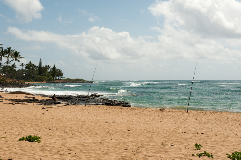 Fishing Poles Kauai Vine and the Olive