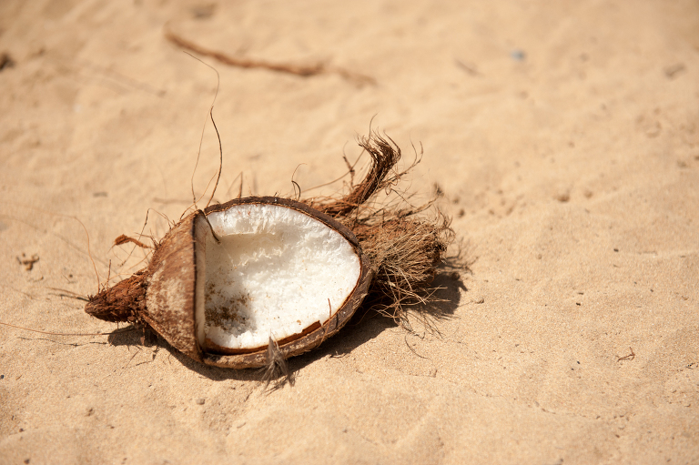 Kauai Coconut Vine and the Olive