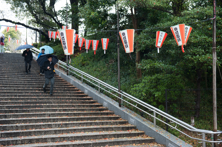 cherry blossom festival