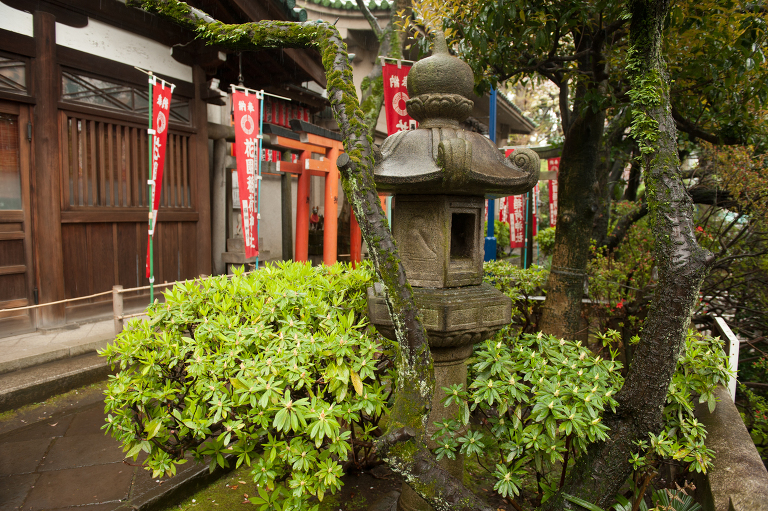 tokyo shrine