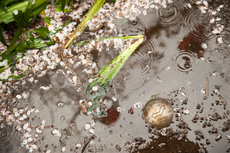 navigational star tokyo