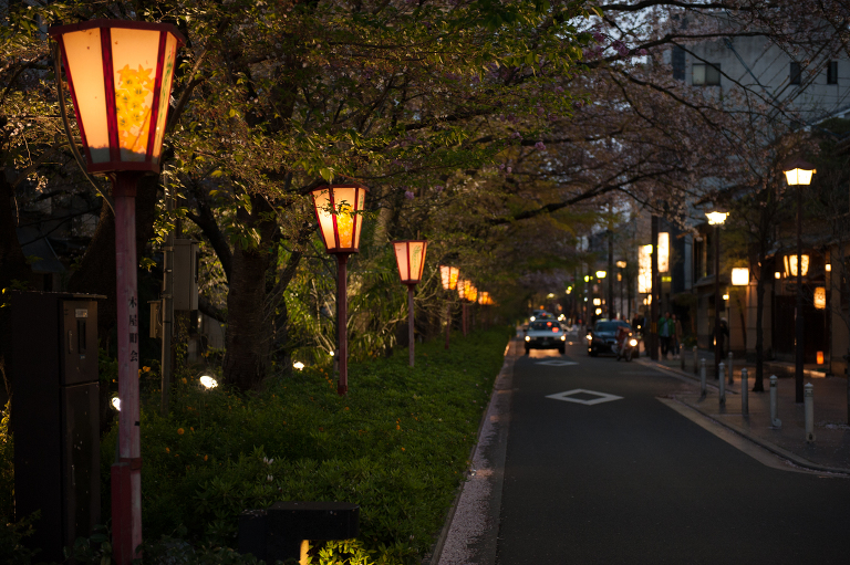 kyoto night walk
