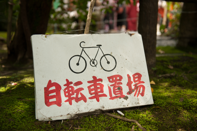 bike bamboo forest