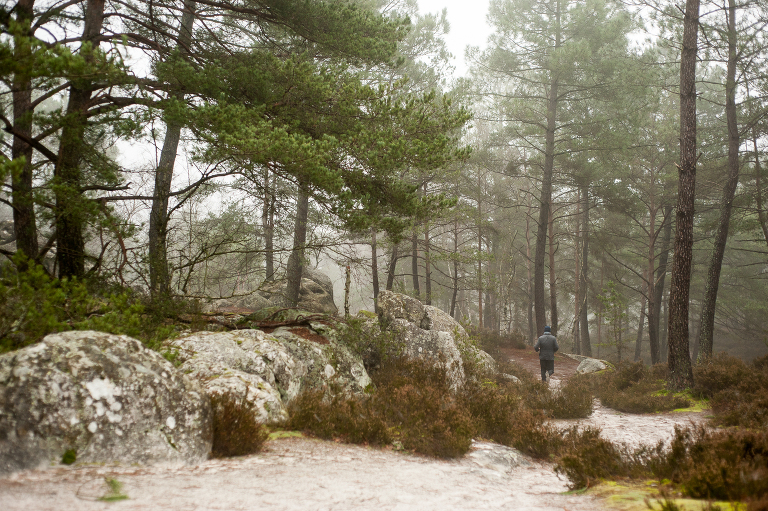 Running through the Fontainbleau forest