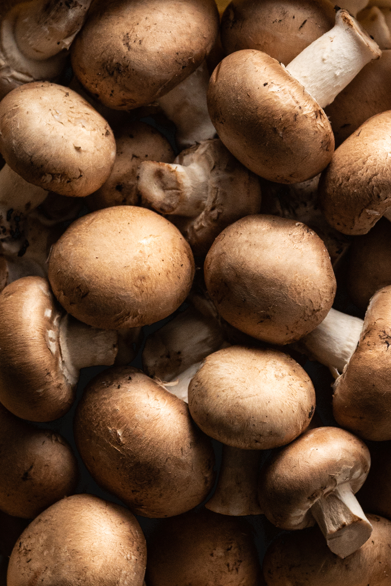 Christina Thiblet Food photographer Champignons de Paris