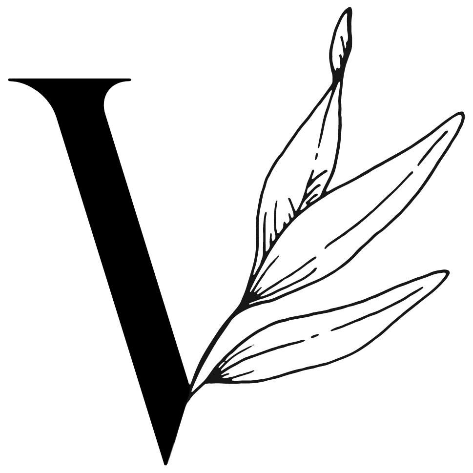 Vine and the Olive Logo