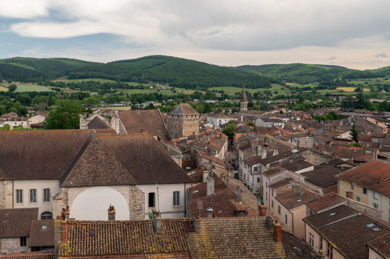 View from the tour de fromage in Cluny, France