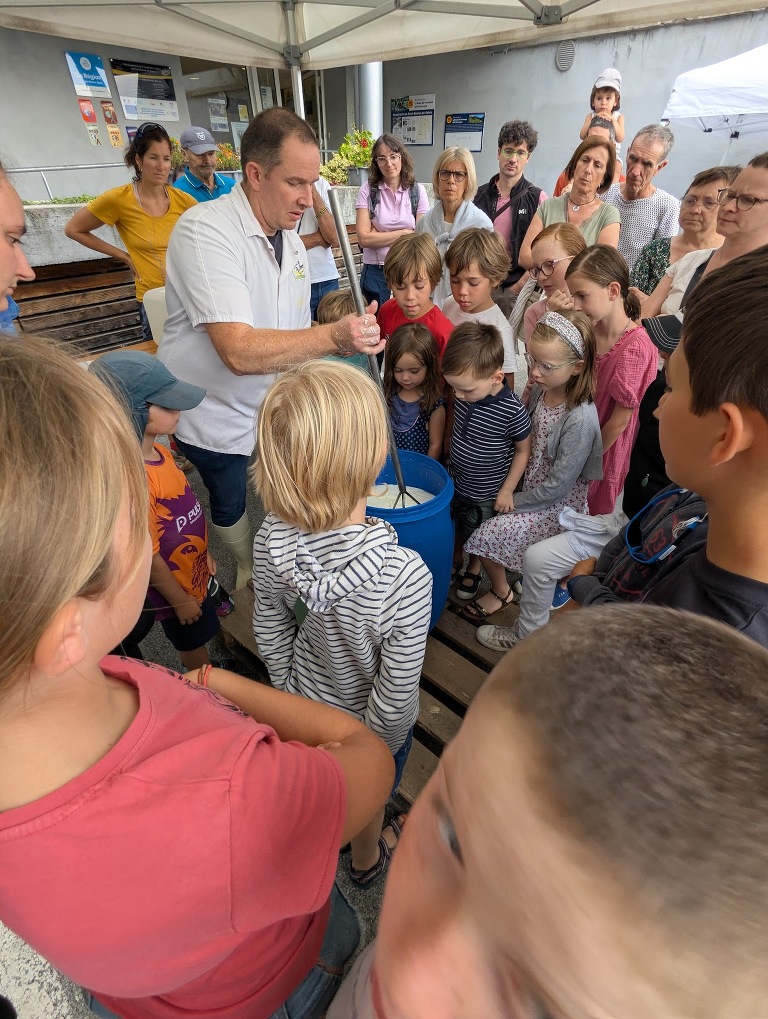 Learning how to make tomme fraîche cheese in Salers, France