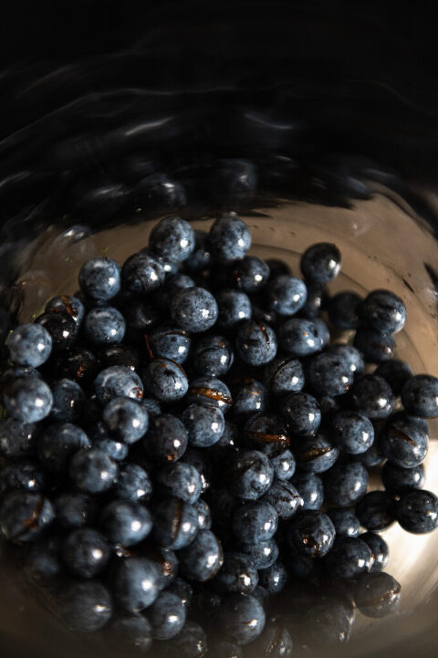 bursting sloe berries