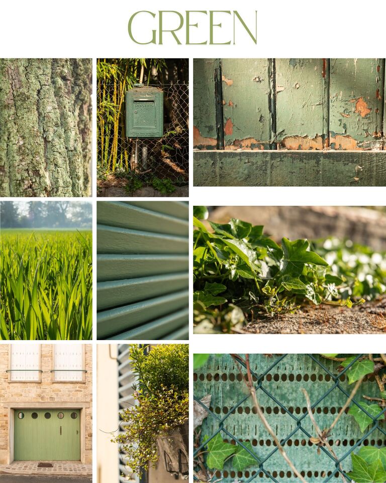 A photographic study of the colour green