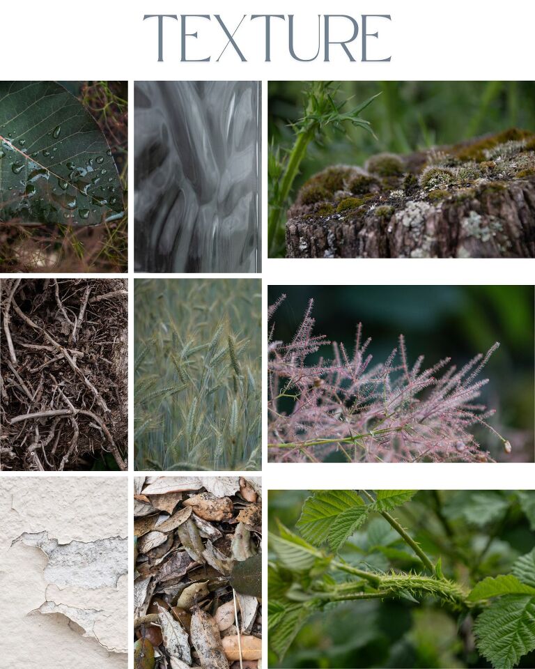 A photographic study of texture