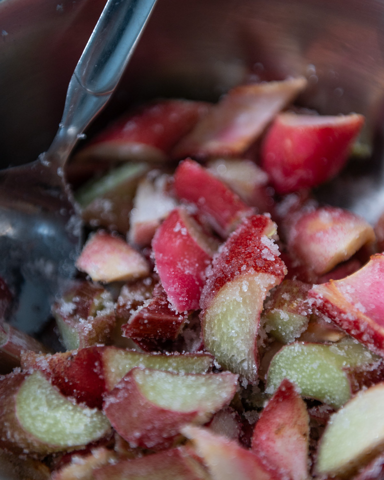 cooking rhubarb and sugar in a saucepot to prepare the sorbet