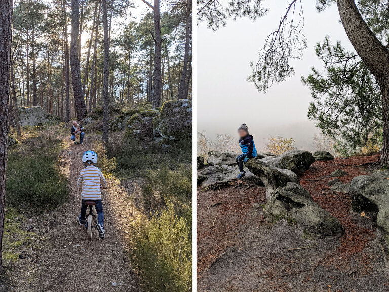 Wandering with the kids in the forest
 in both spring and winter