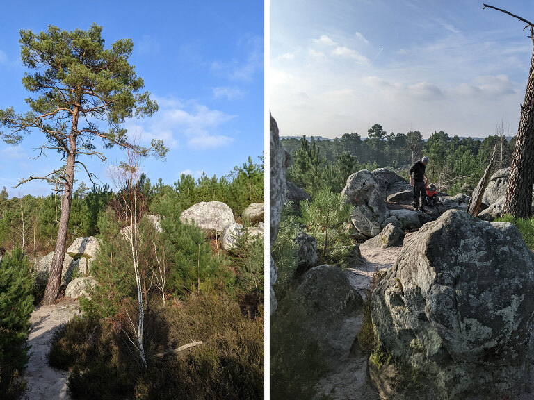 in the Fontainebleau Forest in Noisy-sur-École, Achères-la-forêt and Le Vaudoué