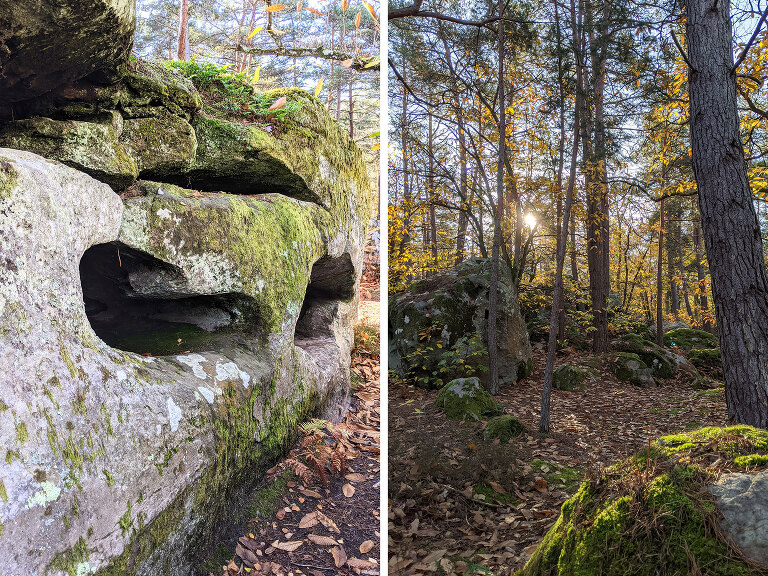 Fontainebleau Forest in Noisy-sur-École
