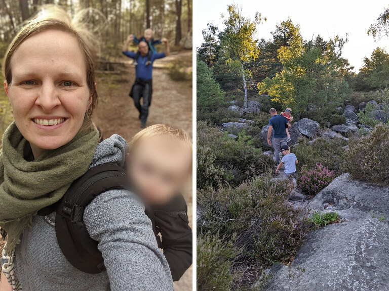 Family outings in the Fontainebleau Forest in Noisy-sur-École along the ridges of heather and in the gorges d'apremont